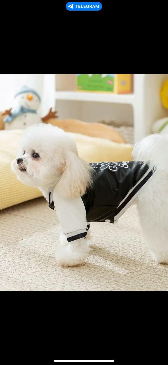 Куртка для собак и кошек "Радуга", флисовый, дождезащитный, молния, черный