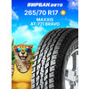 Фото Maxxis AT-771