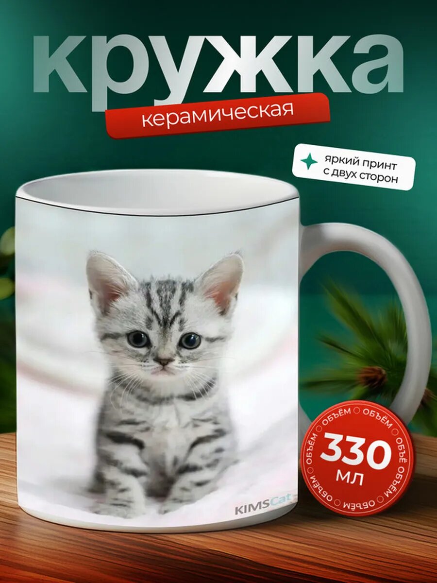 Кружка Американская короткошерстная кошка 38,