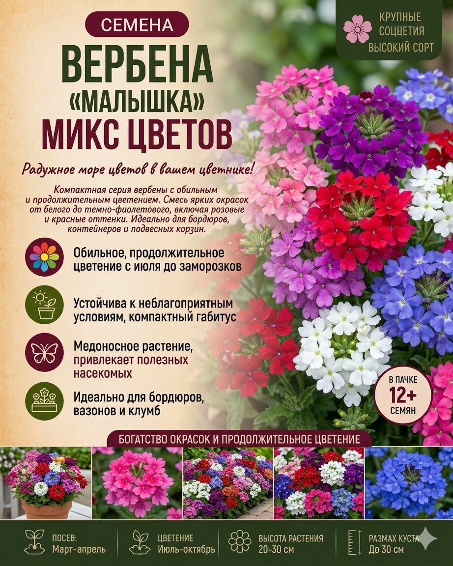 Вербена Малышка мини, микс сбор 2025