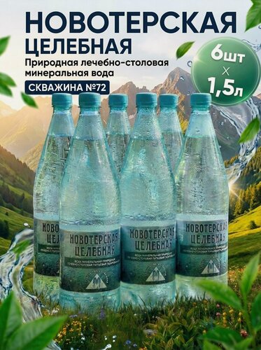 Изображение товара Минеральная вода газированная Новотерская Целебная 1.5 л x 6 шт, лечебно-столовая