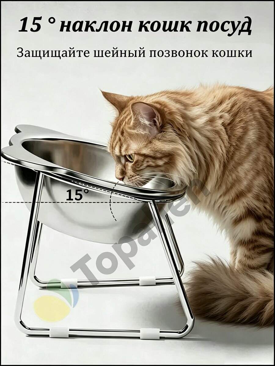 Бестселлер из нержавеющей стали 304 поилка для питомцев с высоким дном и защитой шеи