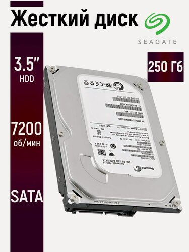 Изображение товара Внутренний жесткий диск Seagate 250ГБ 3.5 дюймов для ПК и видеонаблюдения ST250DM000