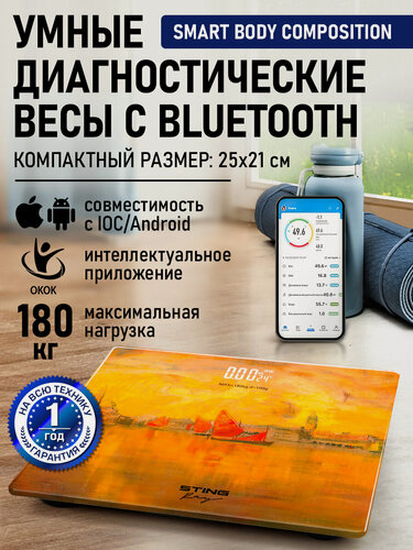 Изображение товара Весы напольные умные STINGRAY ST-SC5002B Вид Венеции с моря