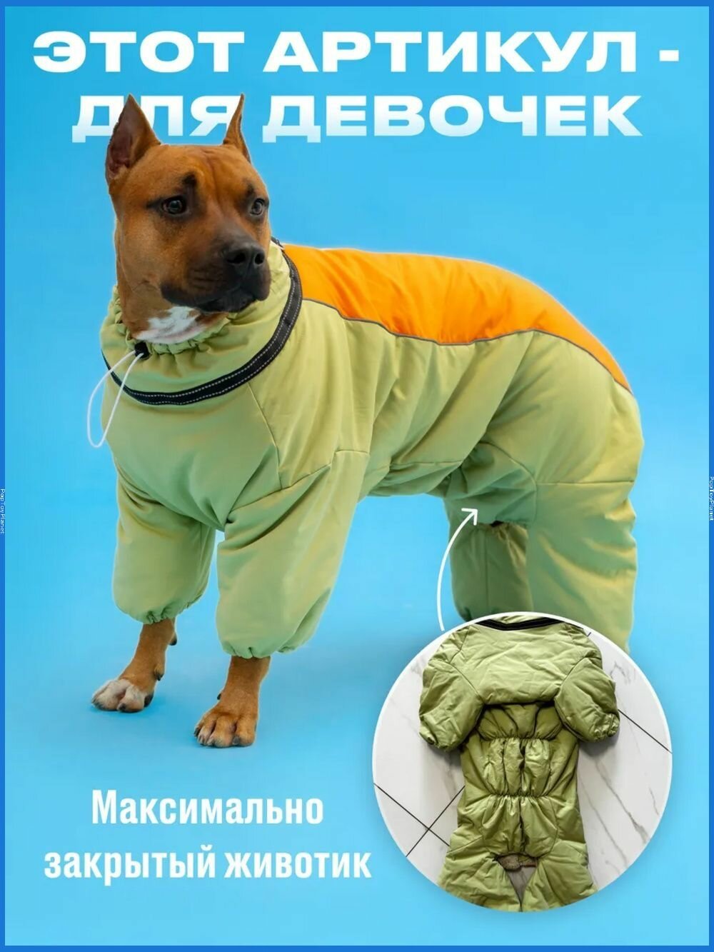 Одежда для животных — фото 1