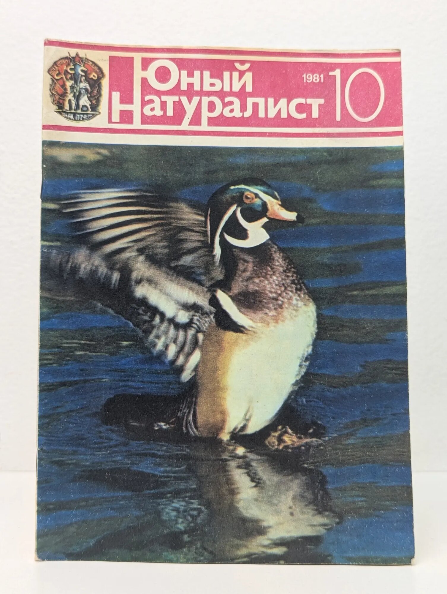 Юный натуралист. Выпуск № 10/1981 Сборник 1981
