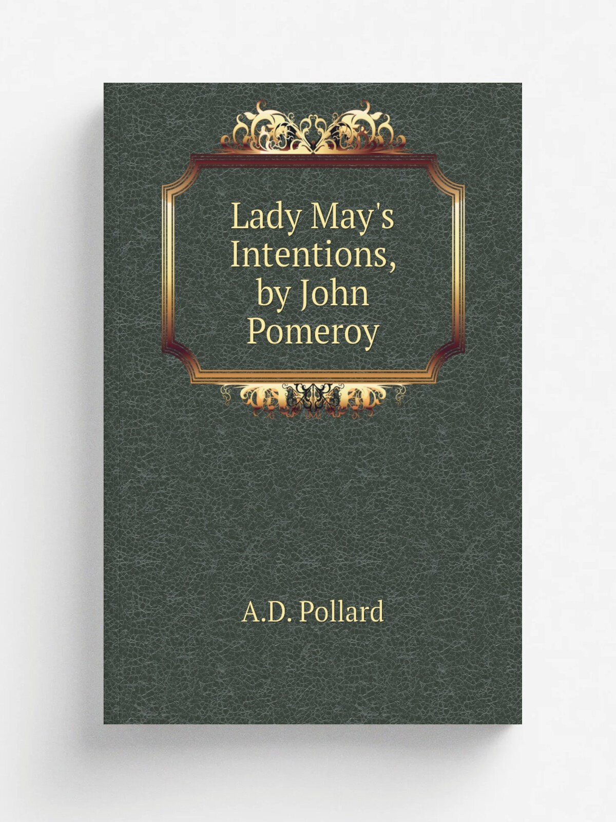 Lady May's Intentions, by John Pomeroy