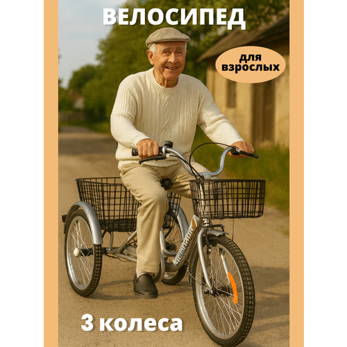 Трехколесный велосипед для взрослых N20 седло со Спинкой серебро