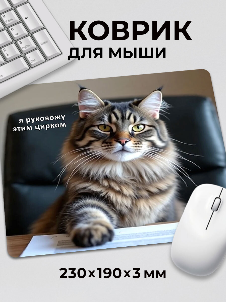 Коврик для мышки Прикольный мем Кот Я руковожу этим цирком