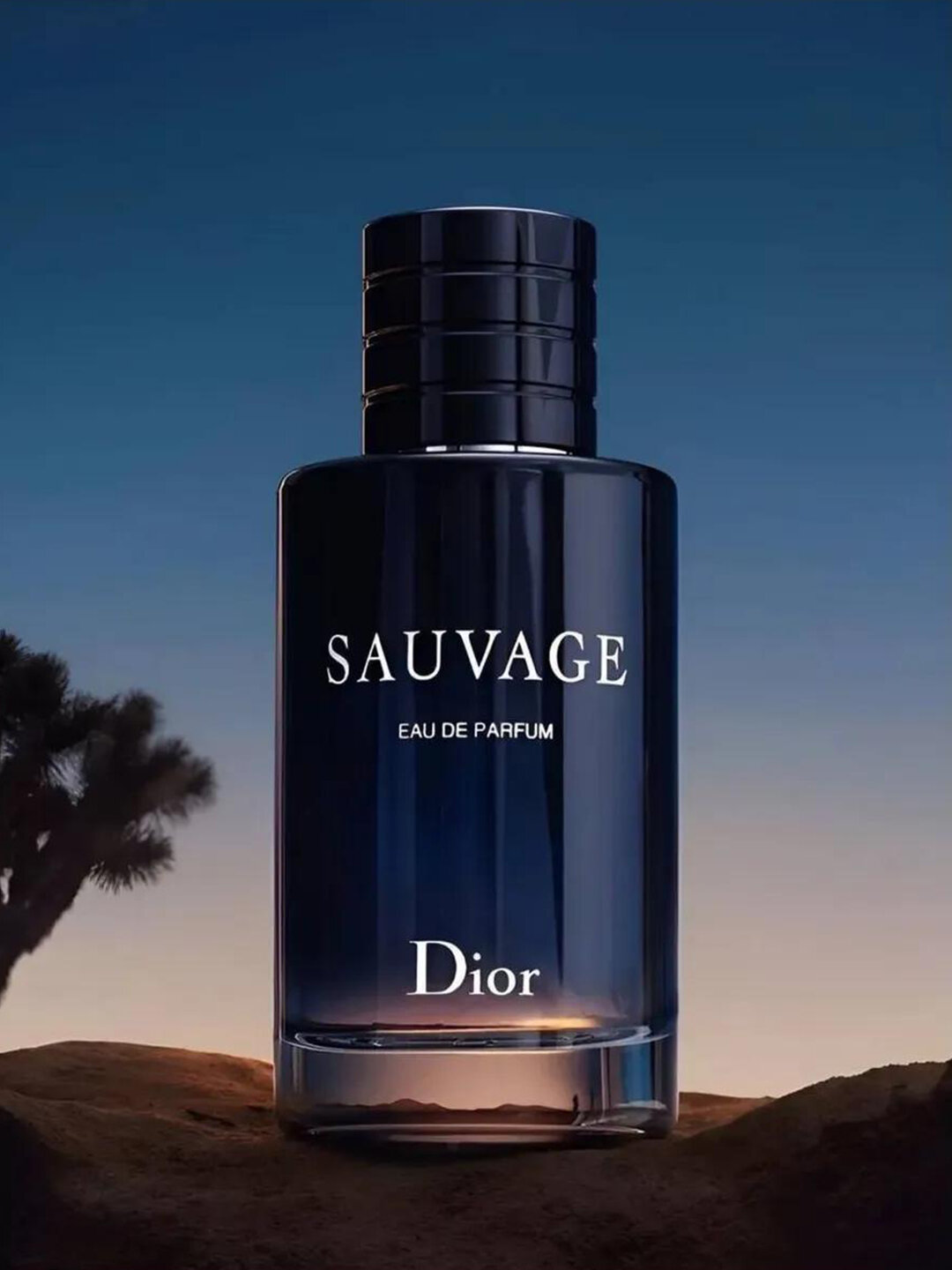 Духи мужские Sauvage, 100 мл — фото 1