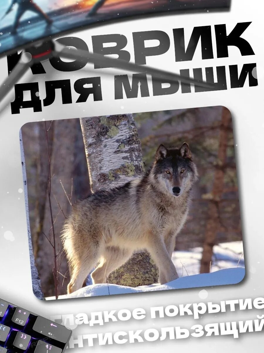 Коврик для мыши Волк в лесу