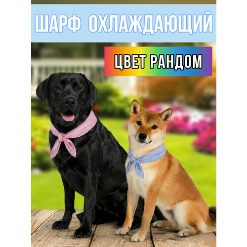 фото Охлаждающий шарф mypet-myfriend для собак, набор из 3 штук, цвет рандом