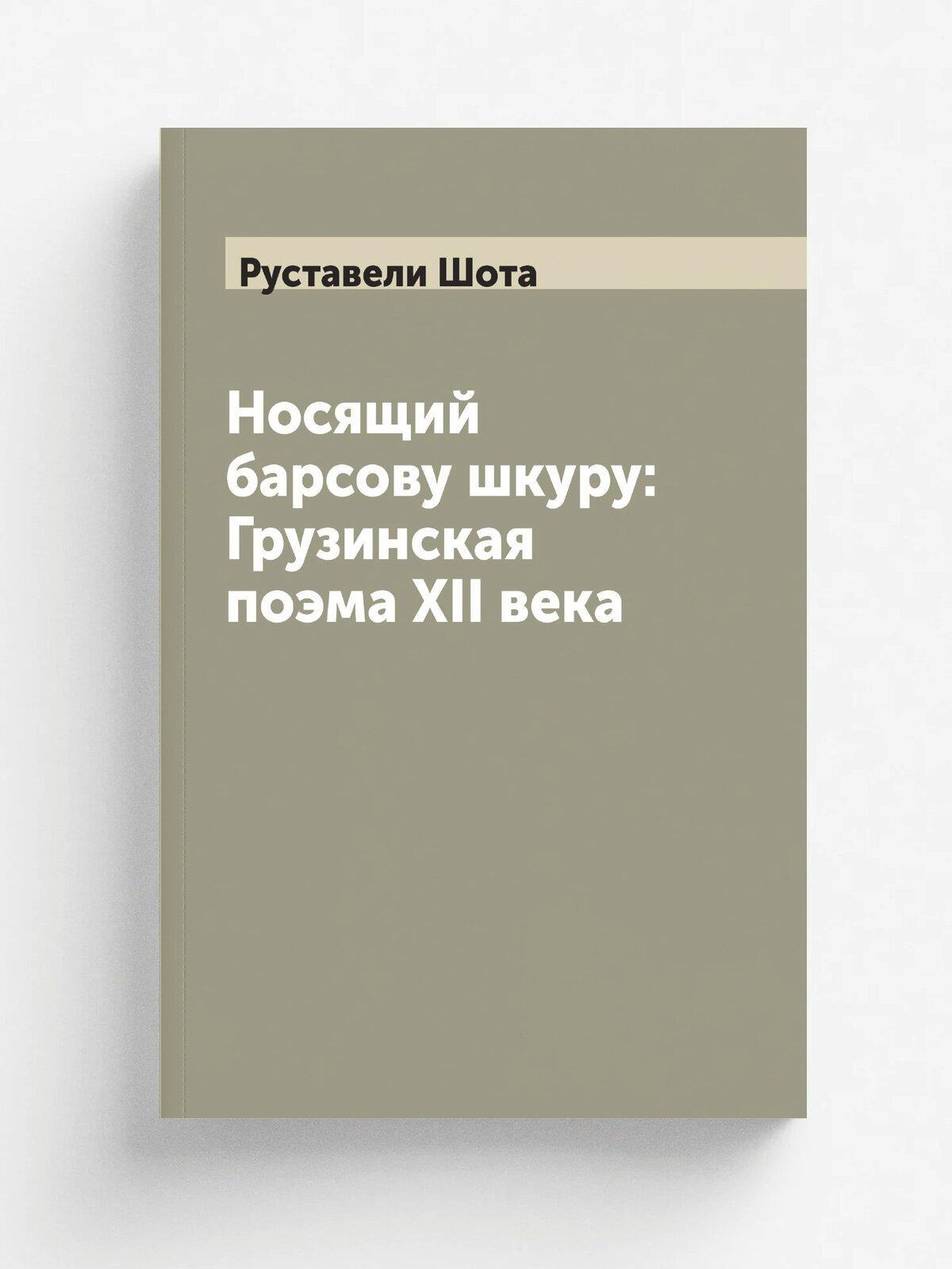 Носящий барсову шкуру: Грузинская поэма XII века