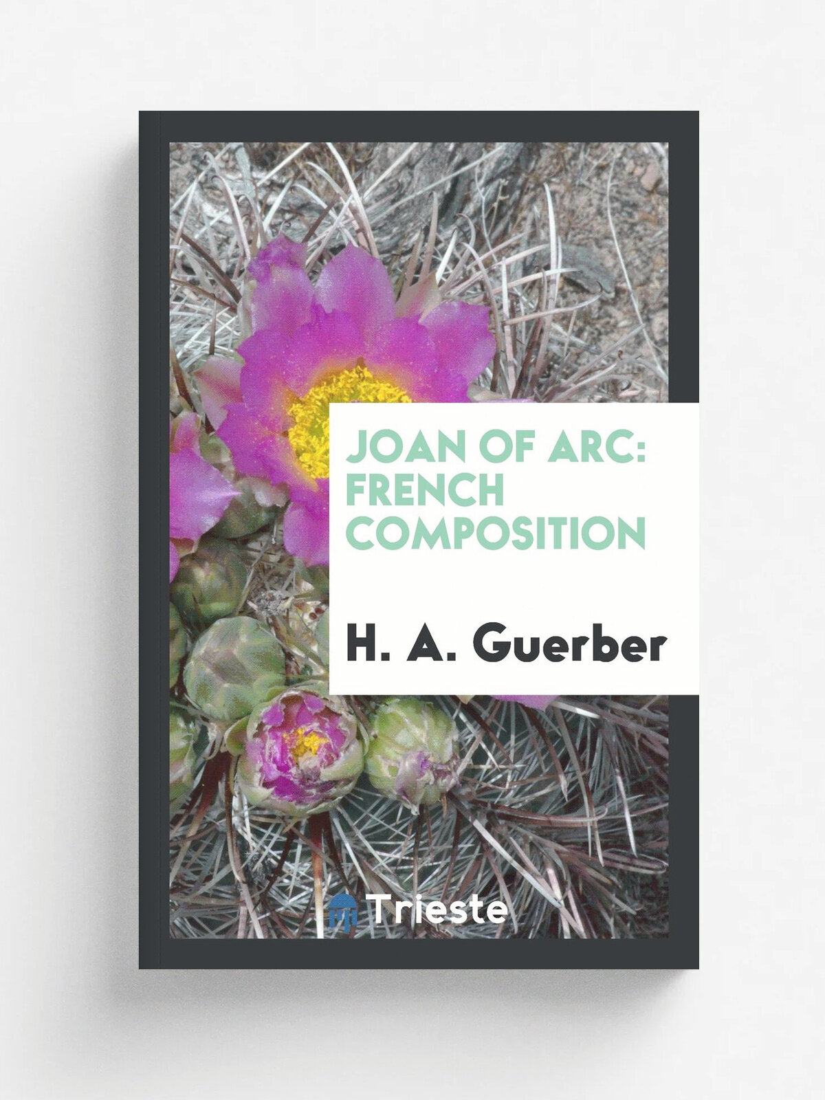 Joan of Arc. French Composition