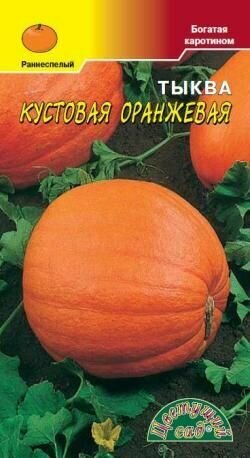 Семена Тыквы Кустовая Оранжевая