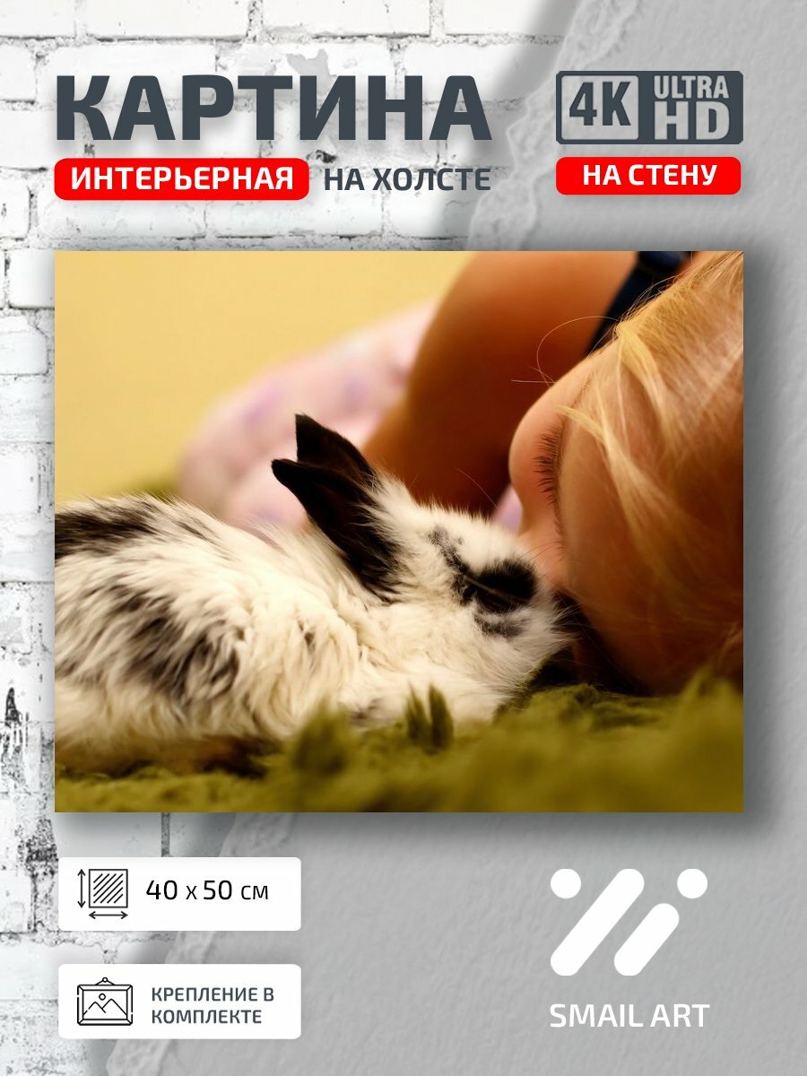 Картина на холсте интерьерная 40 на 50 на стену Кролик Landscape для кафе пейзаж интерьер