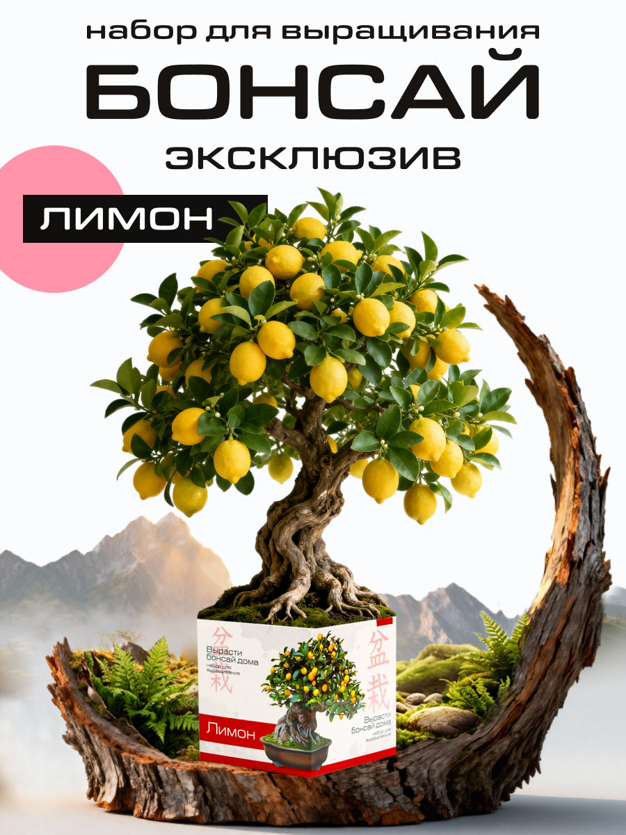 Набор для выращивания "Вырасти бонсай дома. Лимон"