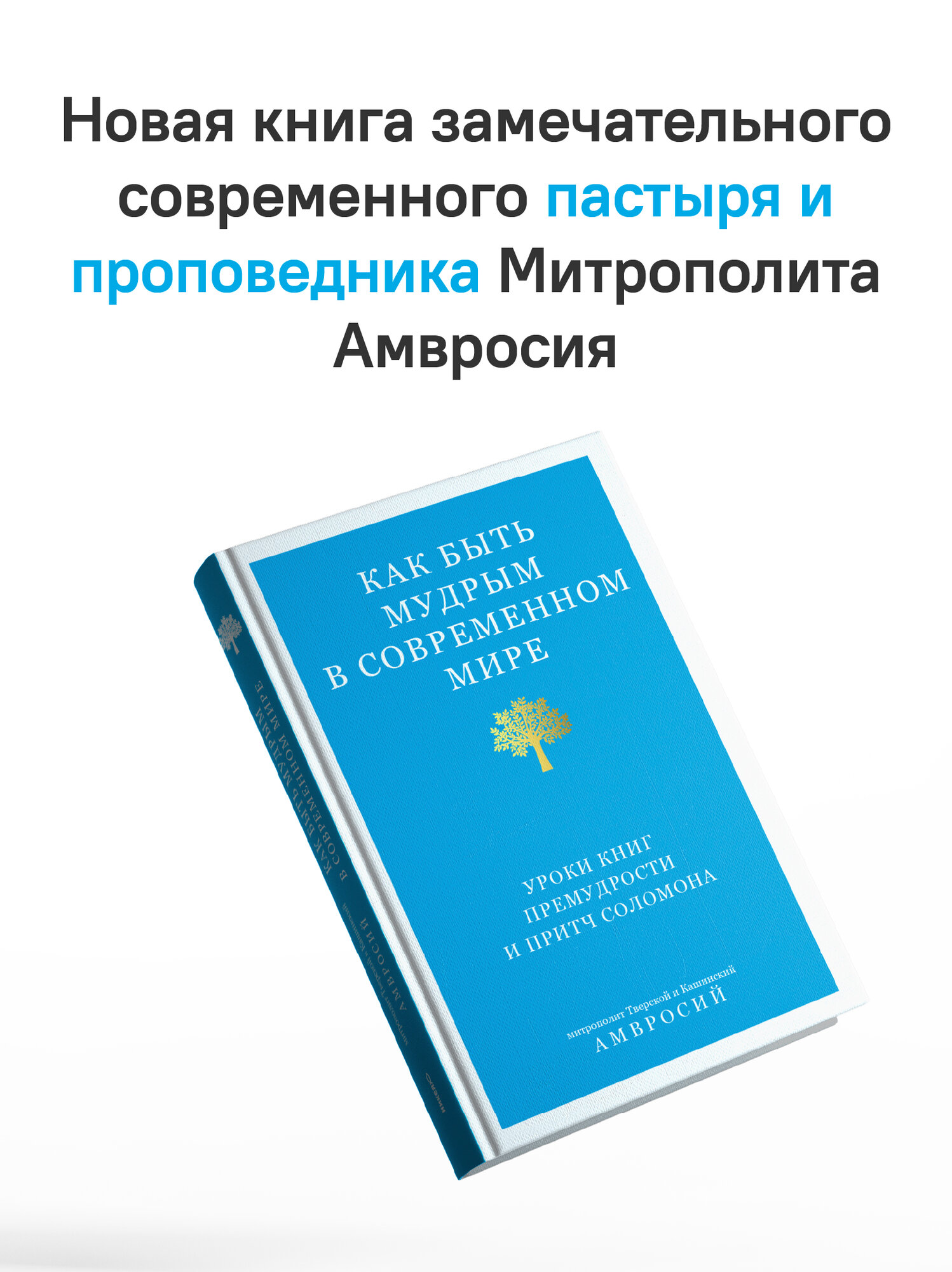 Как быть мудрым в современном мире. Уроки книг Премудрости и Притч Соломона, митрополит Амвросий (Ермаков) — фото 1