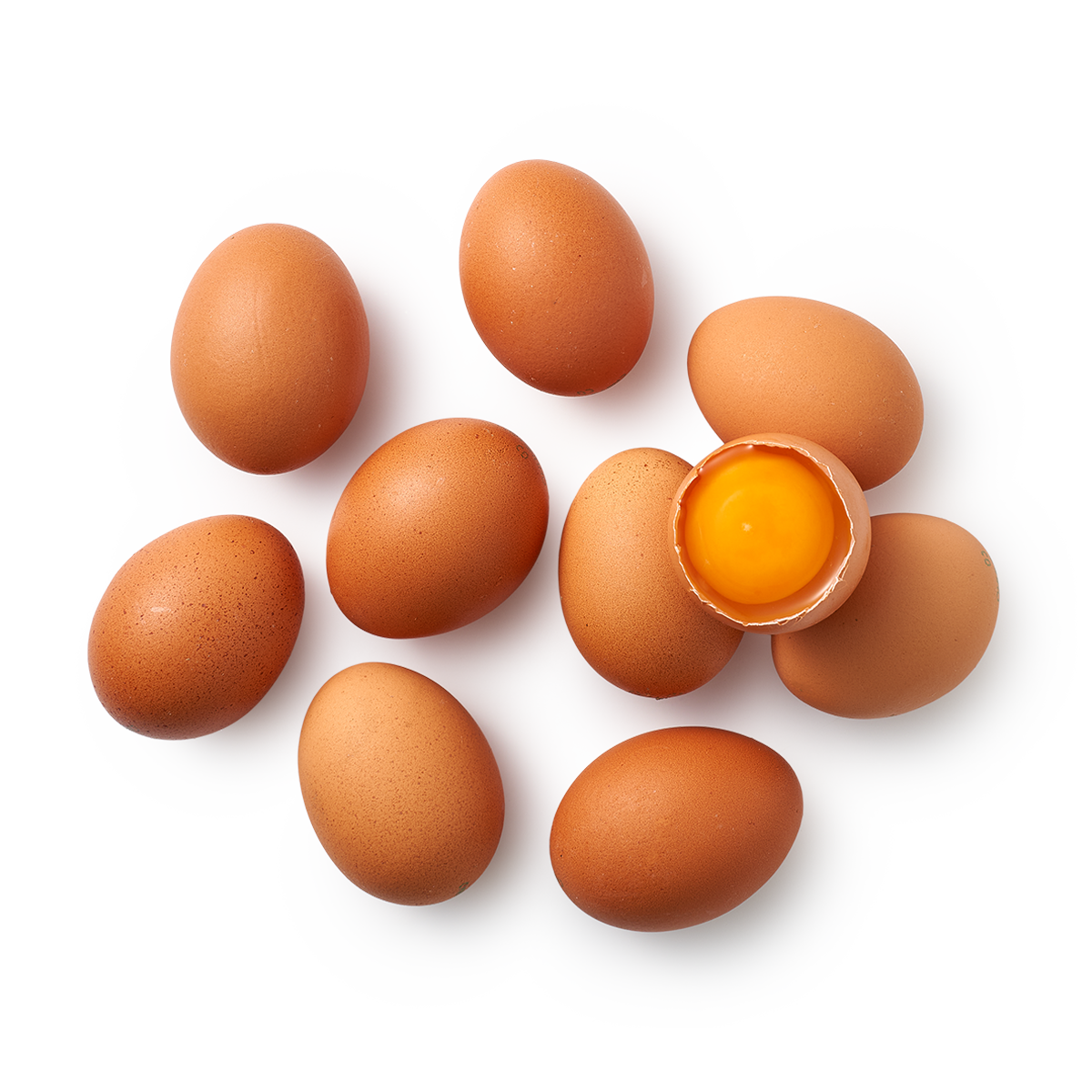 Яйца куриные, отборной категории со, 10 штук в упаковке, 620 грамм — фото 1