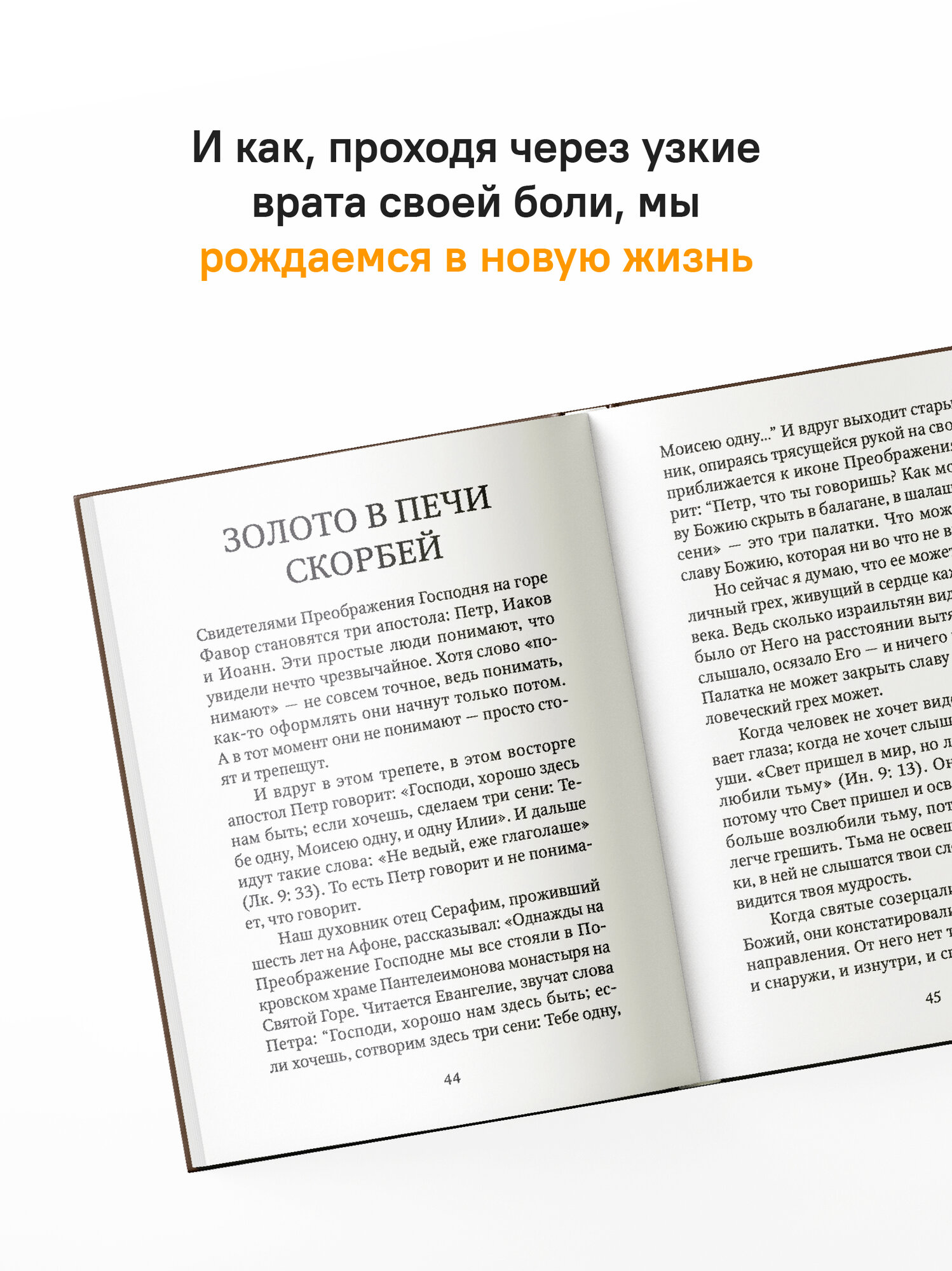 Книга Никея "Печалерадование", протоиерей Сергий Баранов, 2026 г, 96 стр, твердый переплет — фото 1