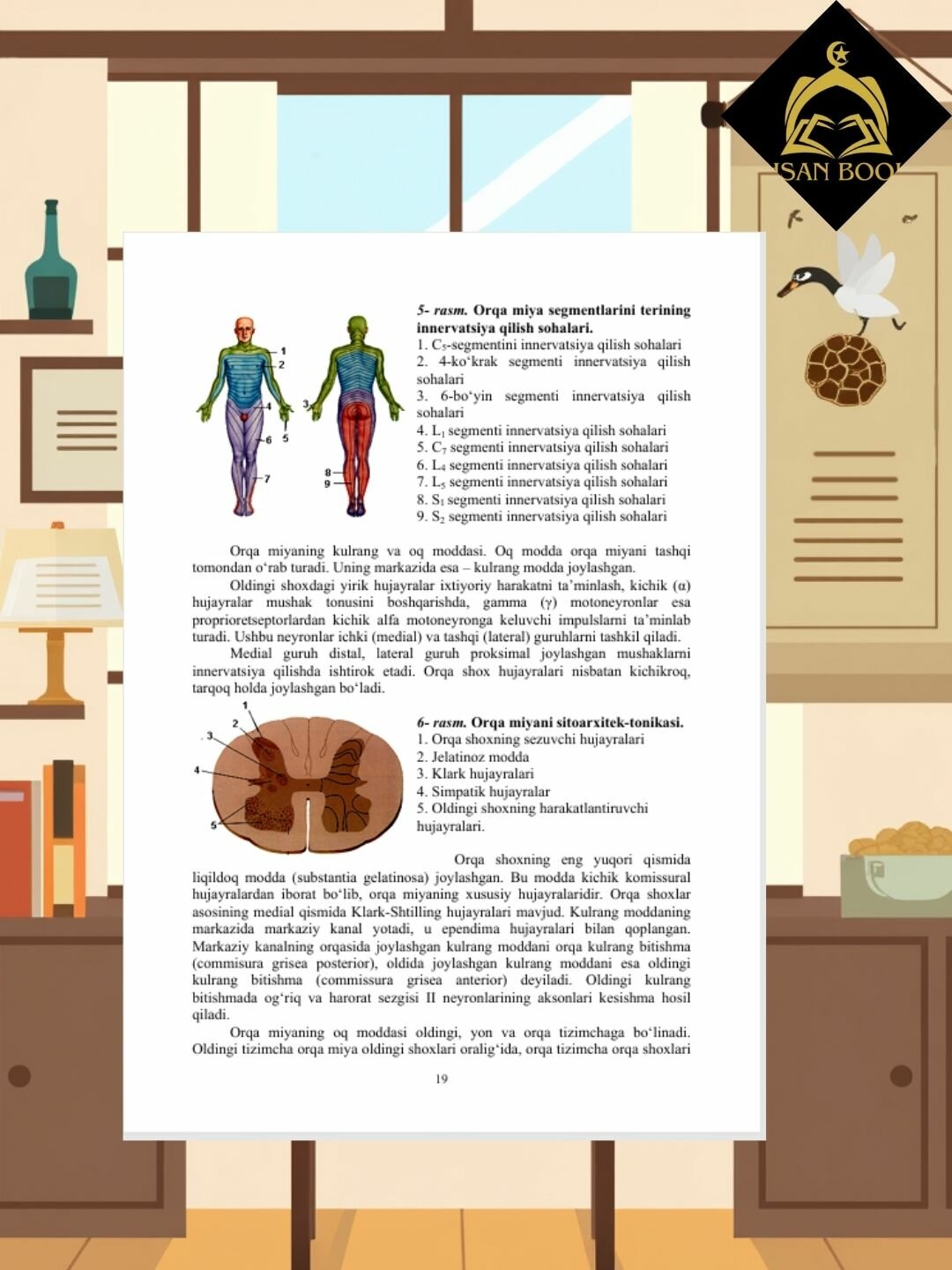Практический атлас по эндодонтии Easy Endodontics (без CD) — фото 1