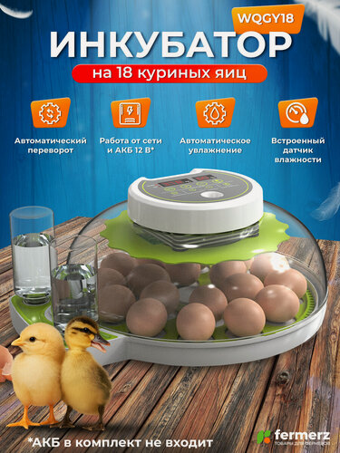 Изображение товара Инкубатор для яиц автоматический на 18 куриных яиц, с автоматическим переворотом