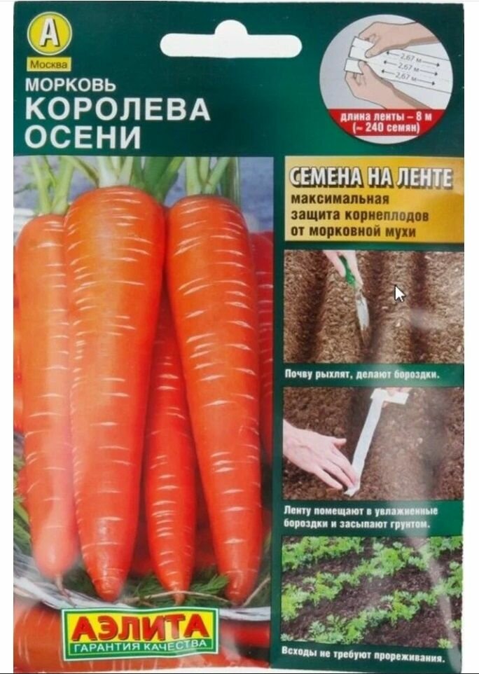Семена Морковь Королева осени на ленте 8 метров