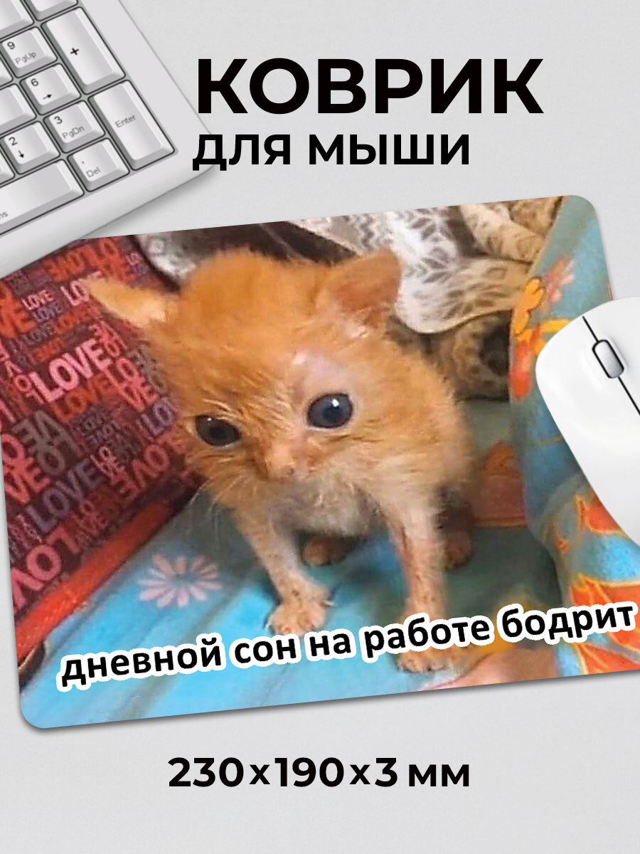 Коврик для мышки с приколом мем котик Дневной сон бодрит