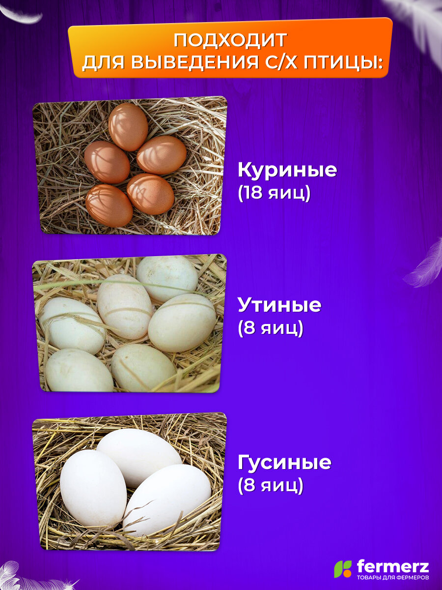 Инкубатор Fermerz EW-18H, автоматический поворот, овоскоп, для куриных и перепелиных яиц — фото 1
