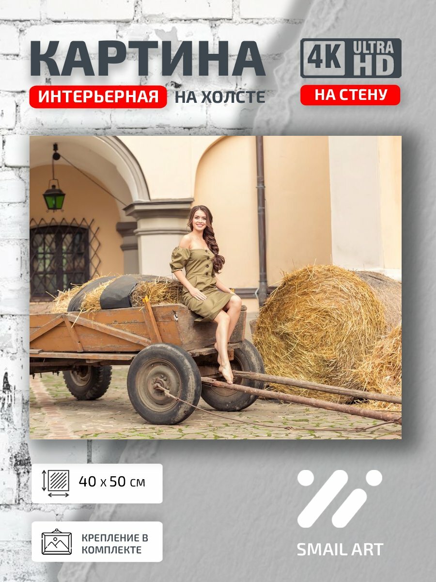 Картина на холсте интерьерная 40 на 50 на стену Повозка Portrait для студии портрет декор