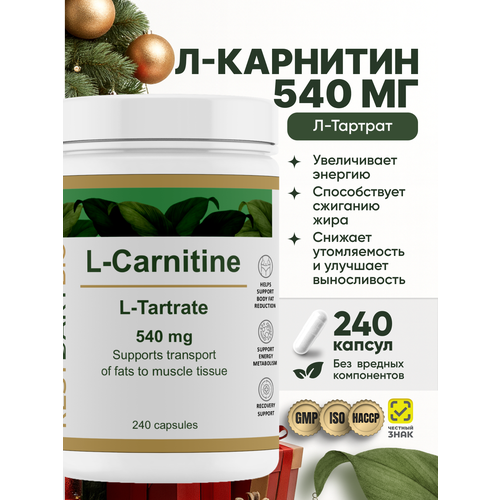 Л-Карнитин 500 мг RestartBio 240 капсул / витамины для мужчин и женщин для похудения l карнитин рестартбио