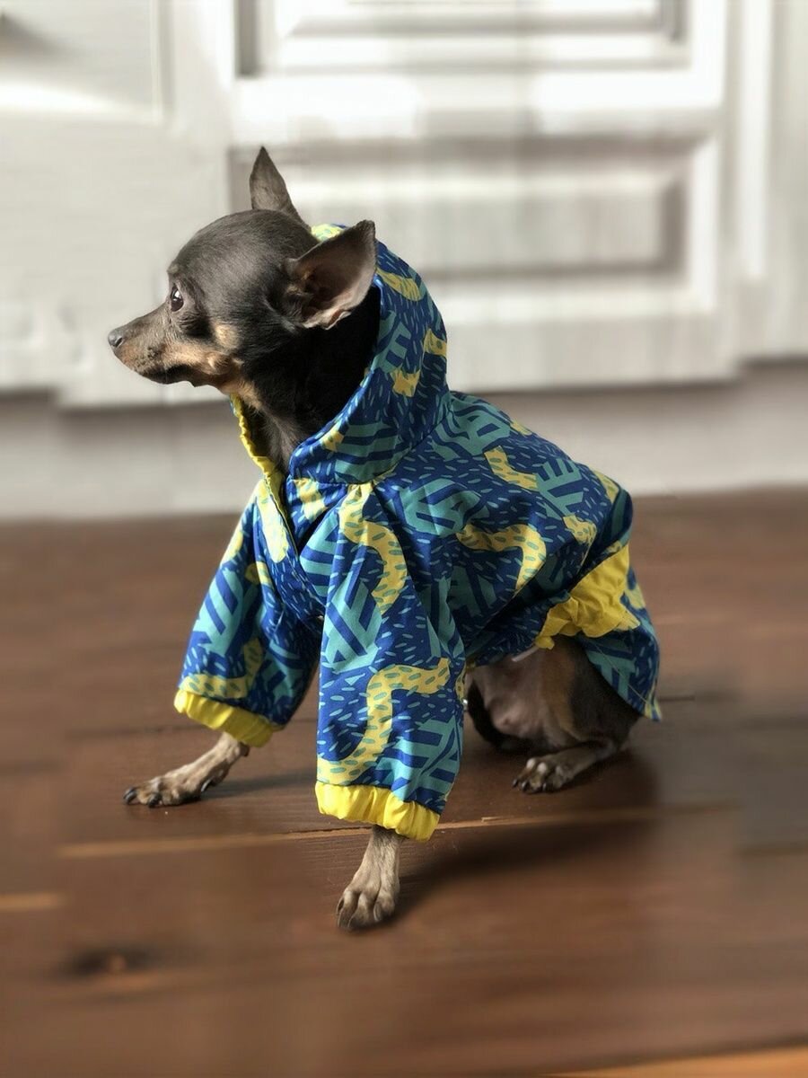 Куртка для собак мелких пород