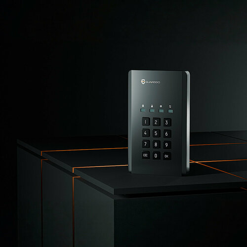 Изображение товара GuardDo Жёсткий диск SSD 512 гб