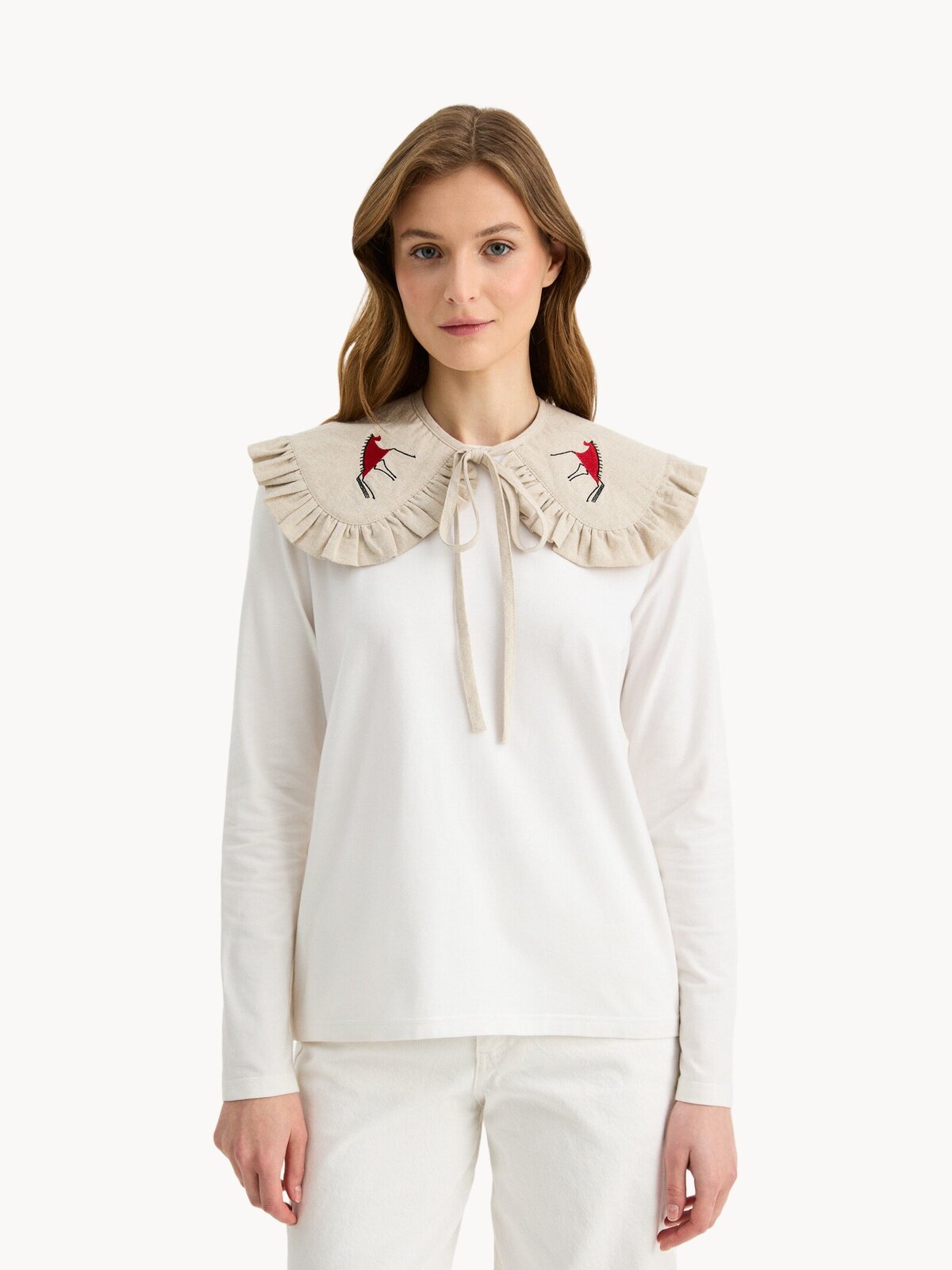 Съёмный воротник Берегите Птиц