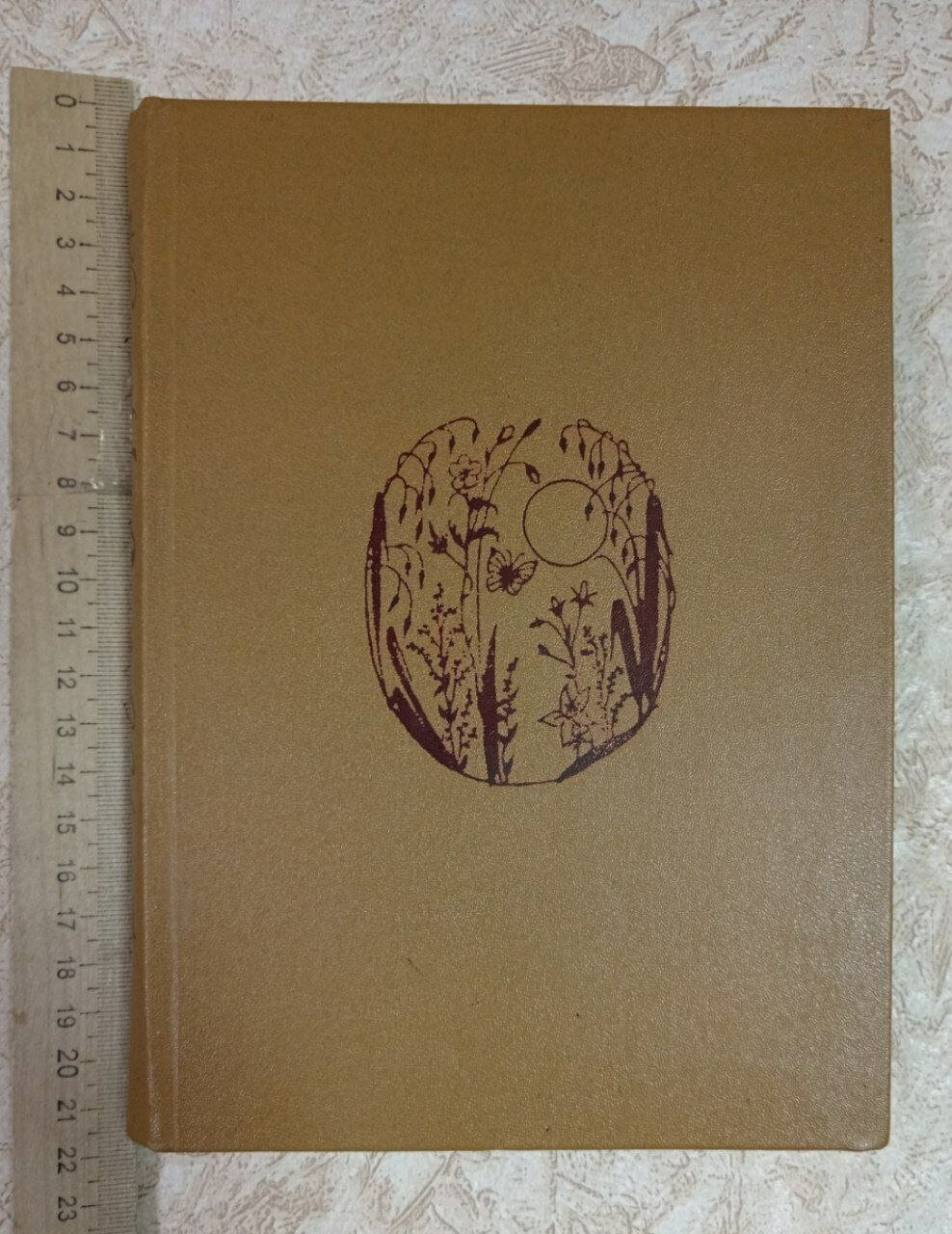 Созерцание чуда