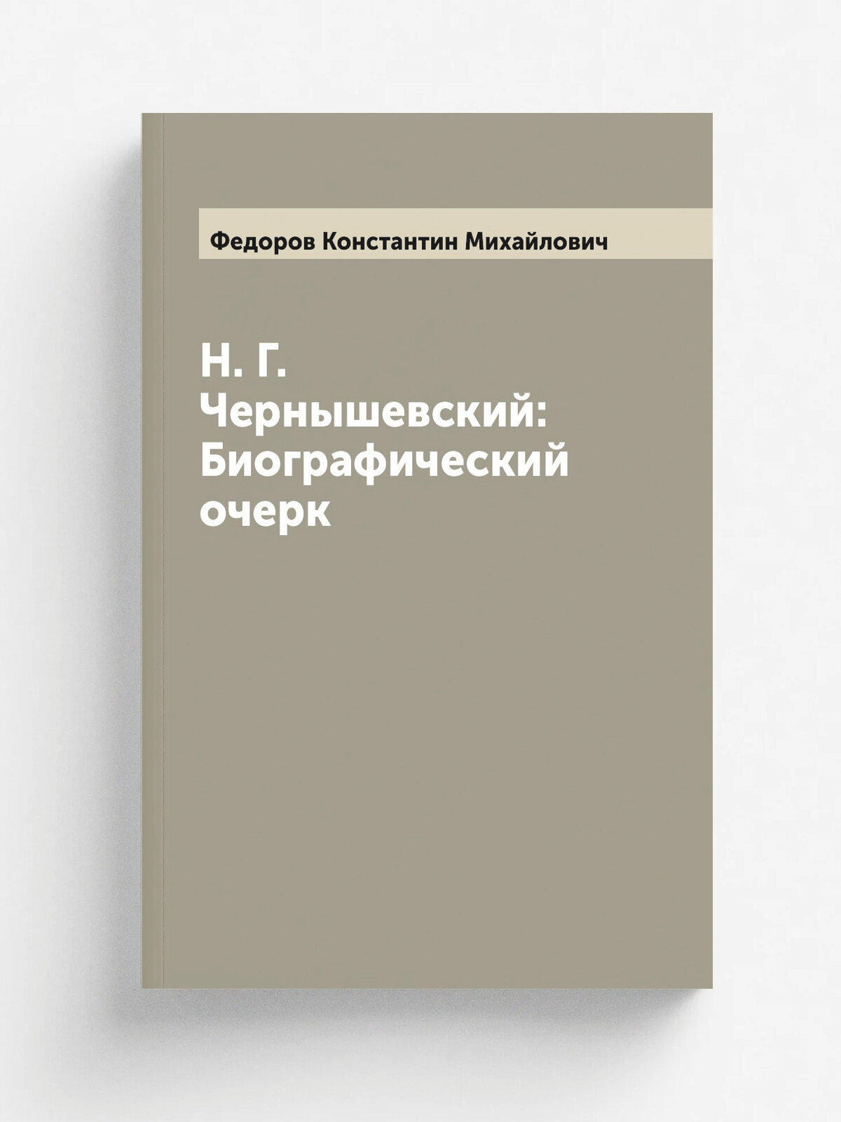 Н. Г. Чернышевский: Биографический очерк