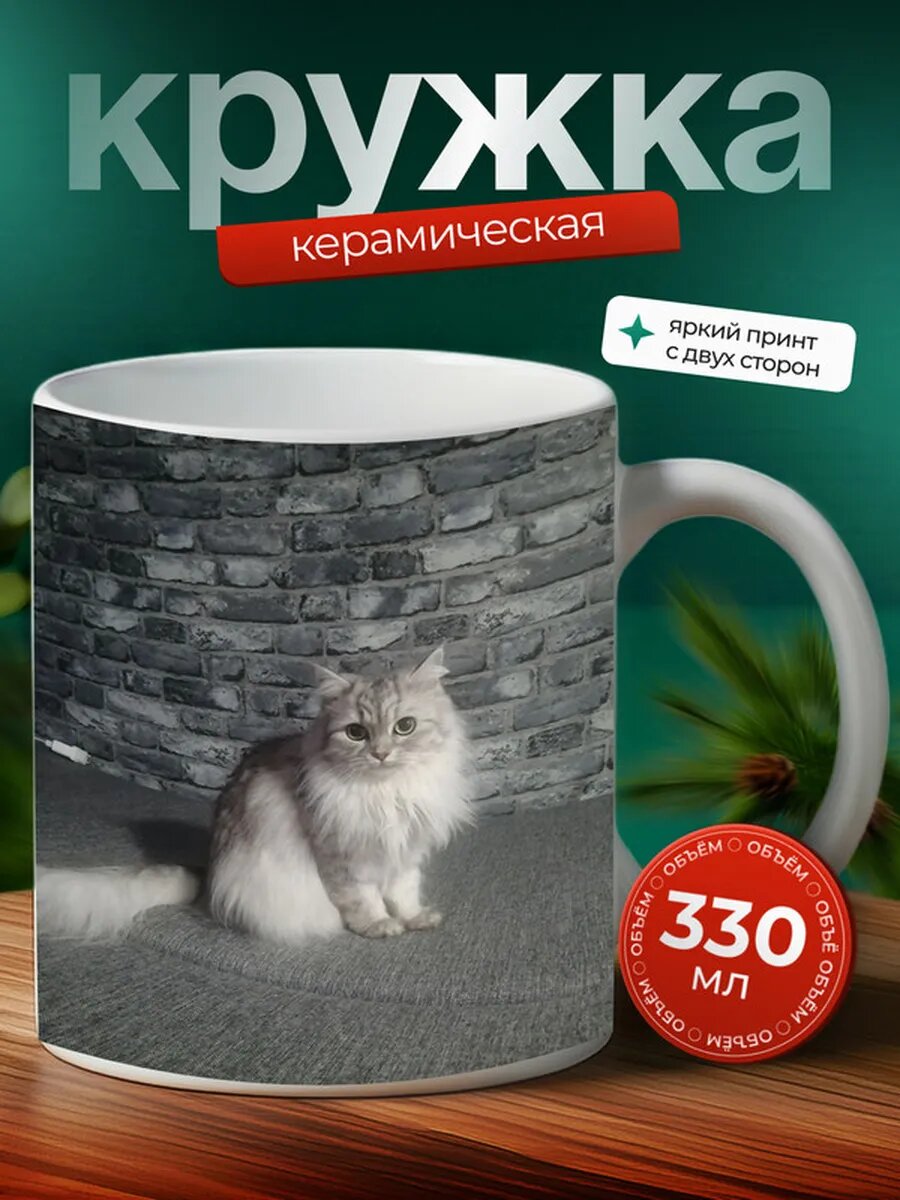 Кружка Американская жесткошерстная кошка 38,
