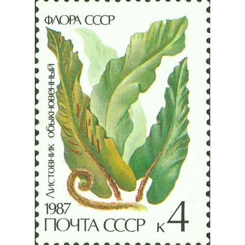 (1987-053) Марка СССР Листовник обыкновенный Папоротники III Θ 1960 053 марка ссср белгородский цементный завод новостройки первого года семилетки iii θ