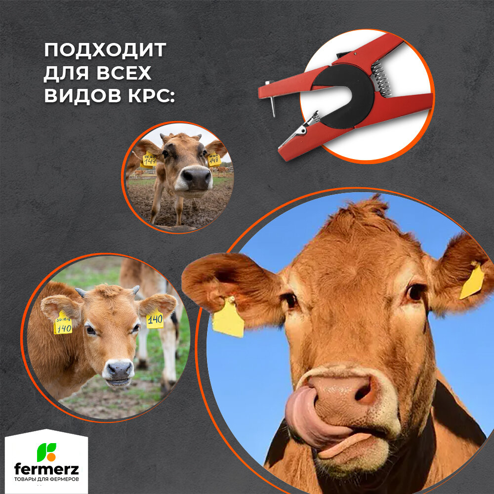 Клипсатор-биркач для установки ушных бирок. Биркач для животных, биркователь для маркировки — фото 1