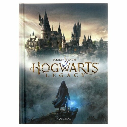 Записная книжка А6 48 листов в клетку Hogwarts Legacy Гарри Поттер глянцевая ламинация блок офсет 60гм2 226₽