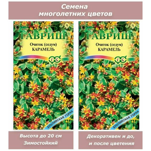 семена седум очиток красная роза 2 упаковки 2 подарка Семена многолетних цветов Очиток