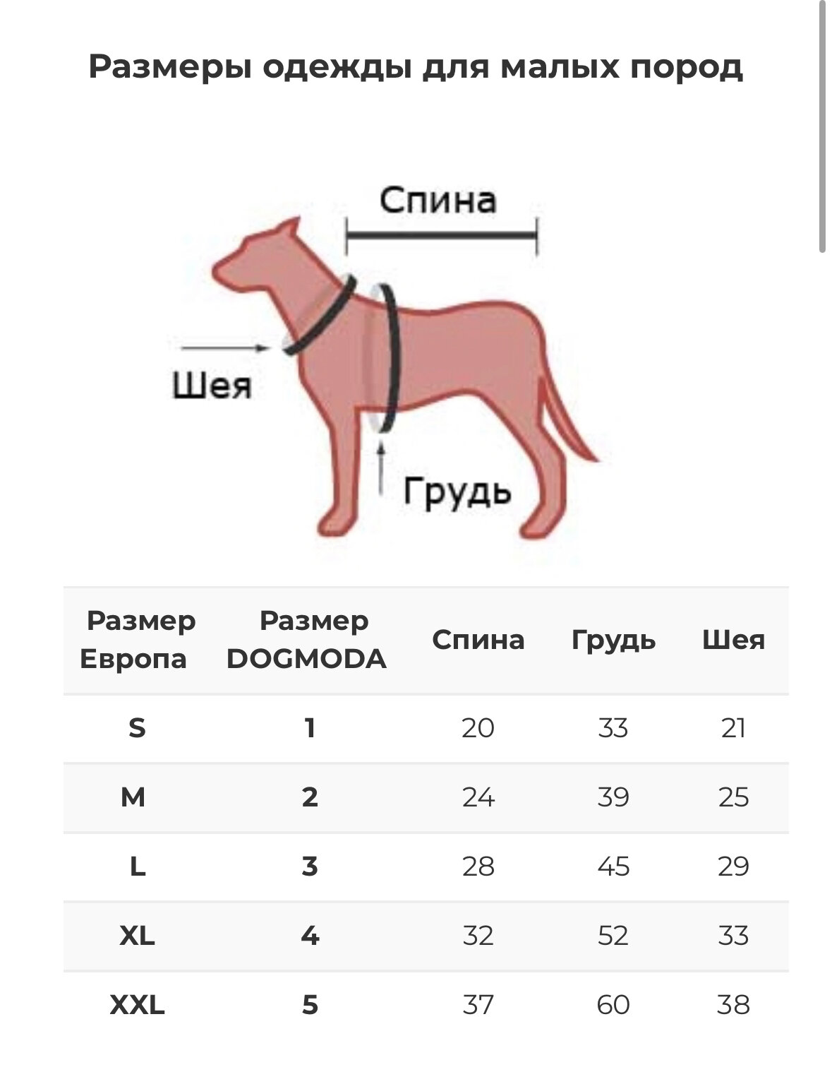 Тренд синий-4 DOGMODA - фото №4