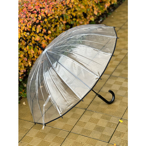 Зонт-трость Popular, полуавтомат, купол 101 см, 16 спиц, прозрачный, для женщин, черный