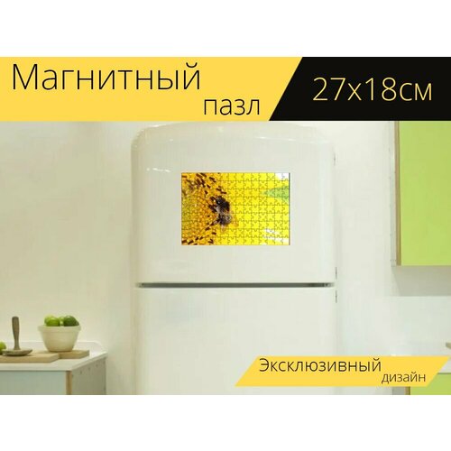 Магнитный пазл Пчела, подсолнух, цветочная пыльца на холодильник 27 x 18 см. магнитный пазл макрос пчела цветочная пыльца на холодильник 27 x 18 см