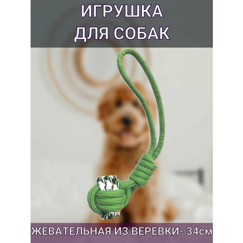 Игрушка для собак веревка узел зеленая 2,5х34см