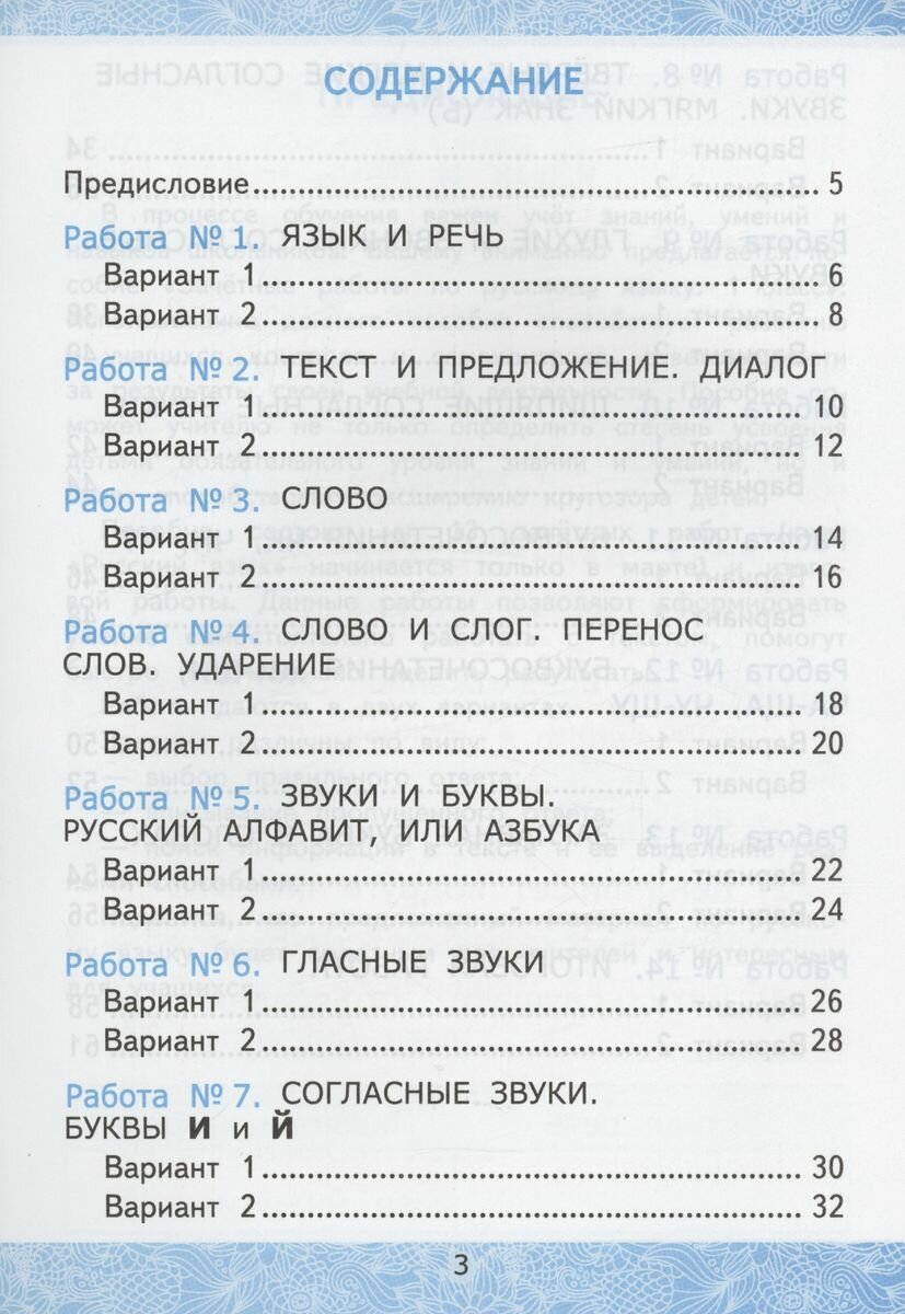 Русский язык. 1 класс. Зачетные работы к учебнику Канакиной В.П., Горецкого В.Г. - фото №8