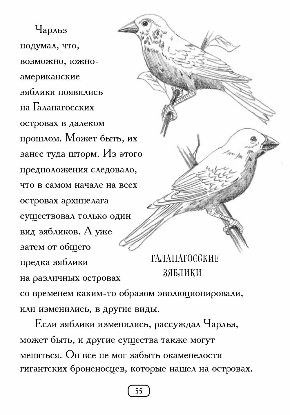 Кто такой Чарльз Дарвин? (Дебора Хопкинсон, Нэнси Харрисон) - фото №7