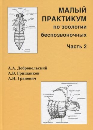 Малый практикум по зоологии беспозвоночных. Часть 2 - фото №2