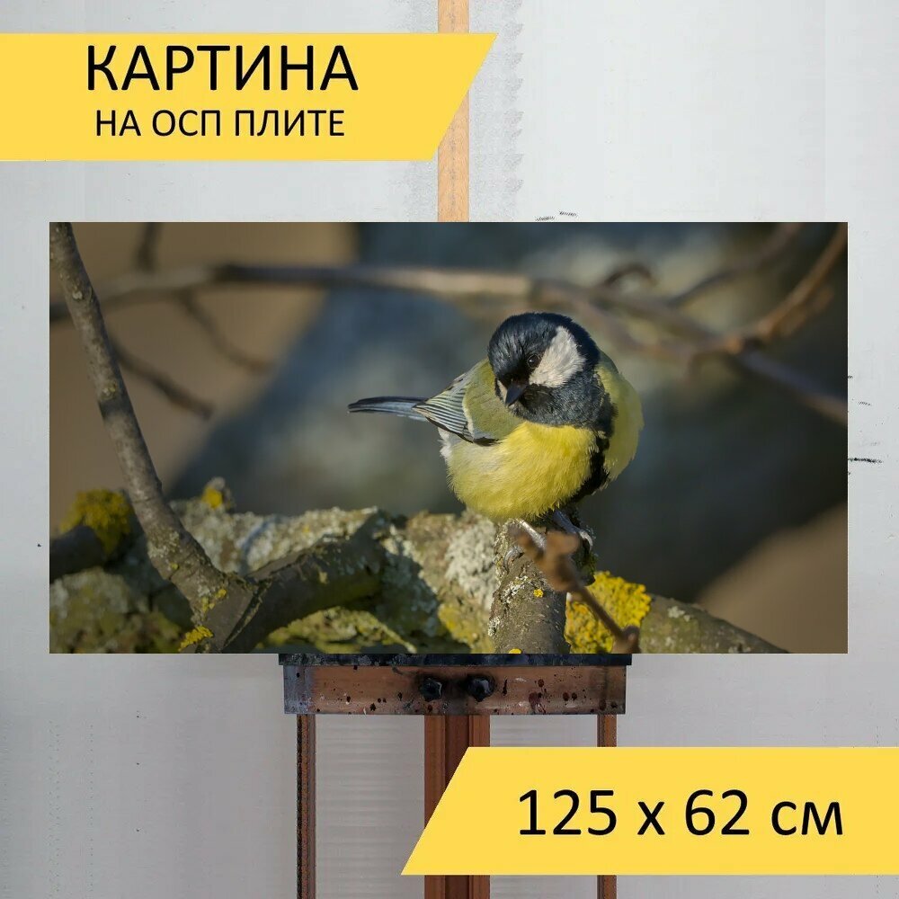 Картина на ОСП "Синица, птица, сидя" 125x62 см. для интерьера на стену