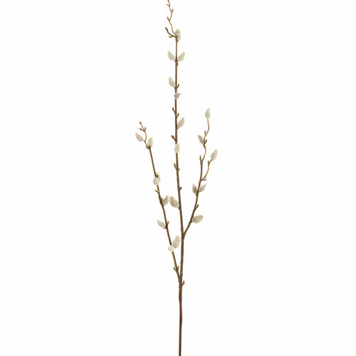 Ветка декоративная Верба Fiebiger Floristik GmbH 203232-030